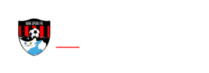 Vanspor FK